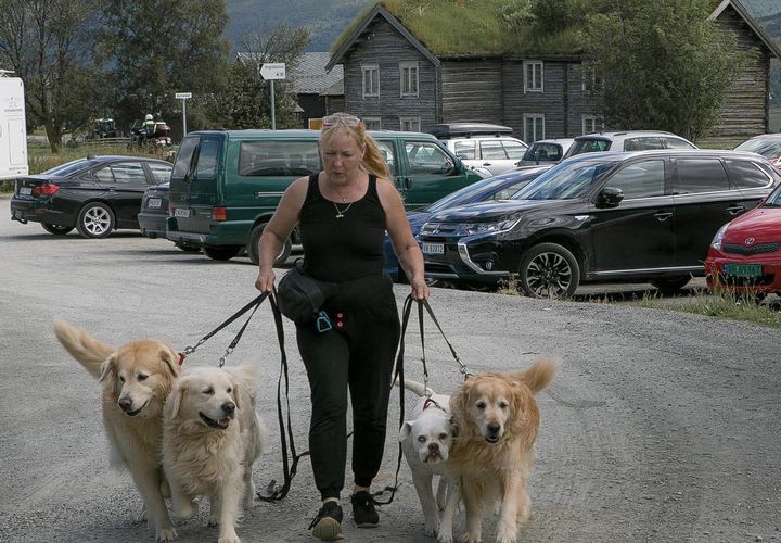 helga 4 fehlende hunde